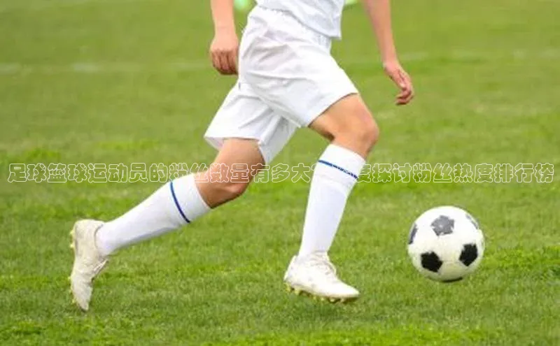 威廉希尔官网网址是多少遥望科技足球篮球运动员的粉丝数量有多大？深度探讨粉丝热度排行榜