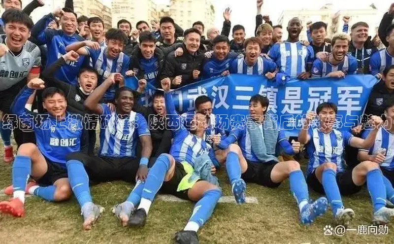 william hill中文知乎绿茵场上激情碰撞：陕西运动场赛事背后的故事与魅力
