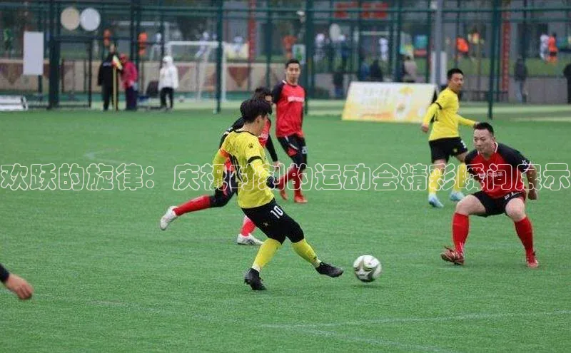 william hill中文姚记科技欢跃的旋律：庆祝时刻的运动会精彩瞬间展示