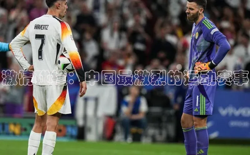 激情碰撞：中国最激烈的运动赛事
