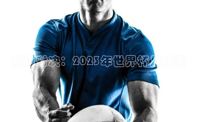 巅峰对决：2023年世界杯足球赛