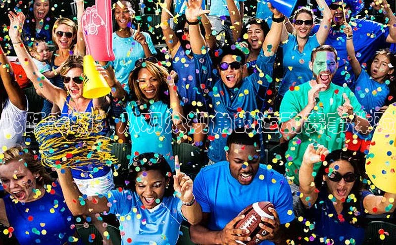 飞跃赛场：从观众视角的运动赛事体验