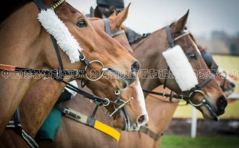 中国顶级体育盛事：如何有效查看和追踪国内赛事活动