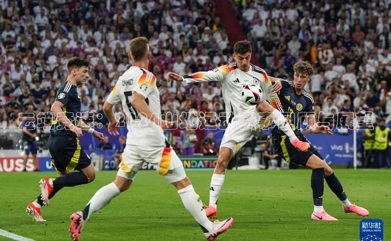 云端竞速：2024山地运动赛事回顾与展望