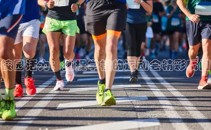 威廉希尔体育在线平台