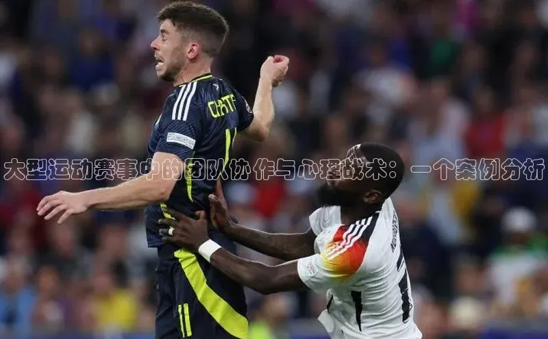 威廉希尔足球网