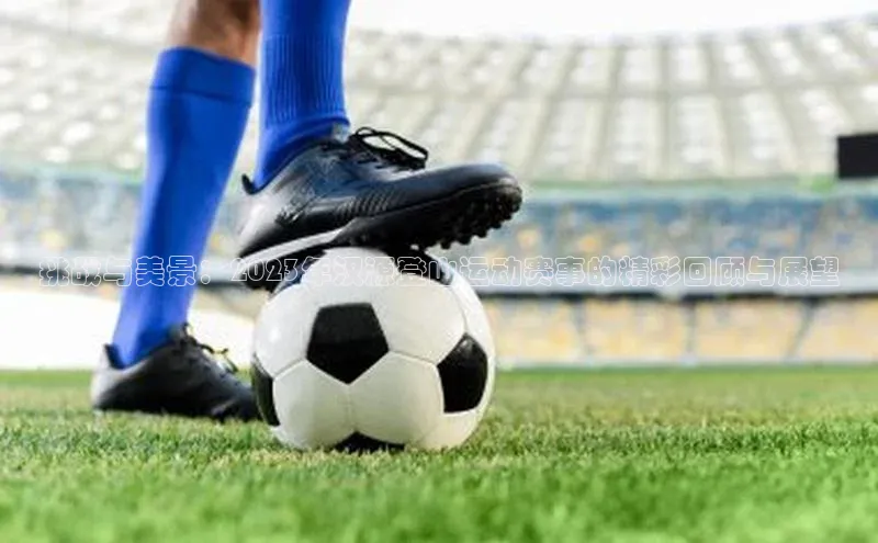 williamhill官网app