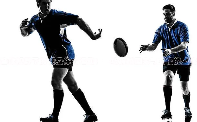 全球视野下的顶级体育运动：一场跨越国家与文化的盛宴