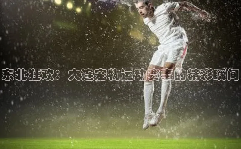 东北狂欢：大连宠物运动赛事的精彩瞬间